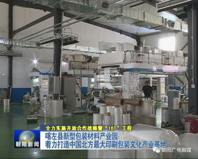 年產值20億元包裝產業園崛起，26家包裝印刷廠共筑產業新高地